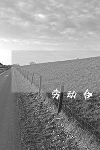 劳动合同法 知识点 劳动合同法 知识点